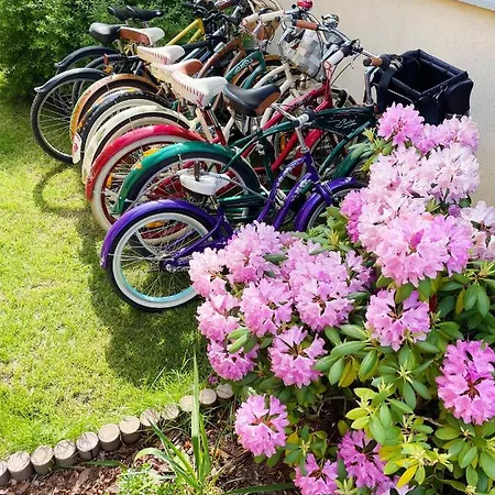 Zacisze * Jastrzębia Góra