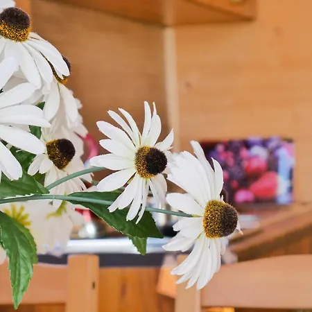 Zacisze Appartement *